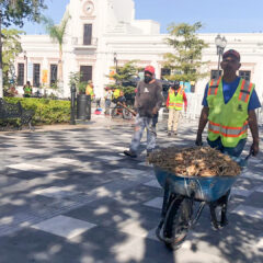 Realiza Servicios Públicos trabajos en el Jardín Velasco