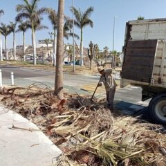 LA COORDINACIÓN DE ASEO Y LIMPIEZA DEL MUNICIPIO LLEVAN A CABO UNA JORNADA DE LIMPIEZA EN EL CORREDOR TURÍSTICO