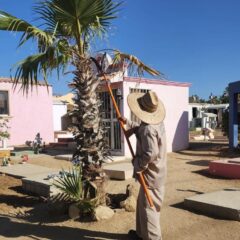 BUSCANDO LA BUENA IMAGEN Y SEGURIDAD EN LOS PANTEONES DE LOS CABOS, SERVICIOS PÚBLICOS MUNICIPALES REALIZA INTENSA CAMPAÑA DE TRABAJOS