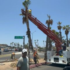 PARA TENER UNA EXCELENTE IMAGEN Y LA SEGURIDAD EN ZONAS TURÍSTICAS DE LOS CABOS,  SERVICIOS PÚBLICOS REALIZA LABORES DE LIMPIEZA EN CORREDORES