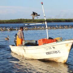 TRABAJAGOBIERNO EN PROGRAMA DE SEGURO DE VIDA A PESCADORES Y ACUACULTORES