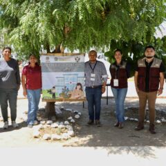 Inauguran jardín decactáceas regionales en el hospital Salvatierra