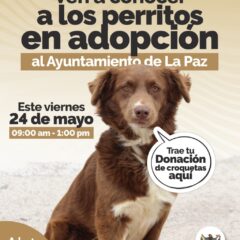 Invita Ayuntamiento ala segunda Feria de Adopciones caninas