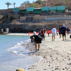 Realizan macro limpieza en la playa ElCoromuel