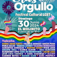 REALIZARÁN FESTIVAL SOBRE DIVERSIDAD LGBT+: OLAS DE ORGULLO 2024