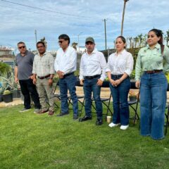 ENCABEZA ALCALDE DE LOS CABOS LOS TRABAJOS DE LIMPIEZA Y EMBELLECIMIENTO DE LA ZONA DE CAMELLOSNES FONATUR EN SAN JOSE