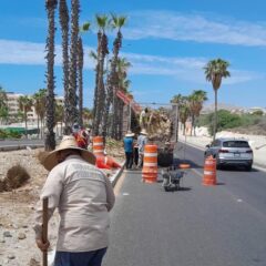 CONTINUA EL EQUIPO DE SERVICIOS PÚBLICOS MUNICIPALES DE LOS CABOS CON EL EMBELLECIMIENTO DE LA ZONA HOTELERA DE SAN JOSÉ DEL CABO