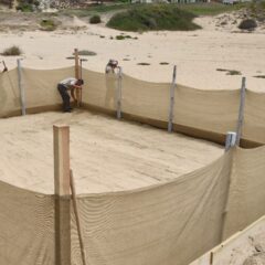 BUSCANDO PRESERVAR LA VIDA SILVESTRE SE INSTALÓ UN NUEVO CORRAL DE INCUBACIÓN PARA TORTUGAS