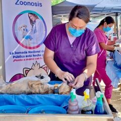 ACERCANESTERILIZACIONES CANINAS Y FELINAS A COLONIAS POPULARES MEDIANTE LA ESTRATEGIA “ÉCHALE MONTÓN”