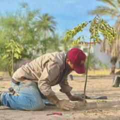 Continúa reforestación de espacios públicos con el programa “Pulmones Urbanos”