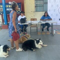 MÁS DE 90 MASCOTAS VACUNADAS POR CAMPAÑA REALIZADA EN LA ZONA RURAL DE LOS CABOS