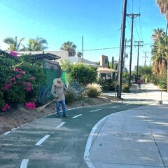 REALIZA SERVÍCIOS PÚBLICOS DE LOS CABOS LIMPIEZA EN EL BLVD. ANTONIO MIJARES