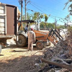 BUSCANDO EVITAR LA PROLIFERACIÓN DE MOSQUITOS SERVÍCIOS PÚBLICOS DE LOS CABOS REALIZA ONTENSAS JORNADAS DE LIMPIEZA