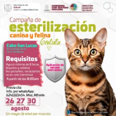 REALIZARÁN EN LOS CABOS CAMPAÑA DE ESTERILIZACIÓN EN LA COLONIA 4 DE MARZO