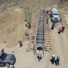 PARA OCTUBRE DEBE QUEDAR CULMINADA LA CARRETERA BAHÍA TORTUGAS-PUNTA EUGENIA: GOBERNADOR VÍCTOR MANUEL CASTRO COSÍO