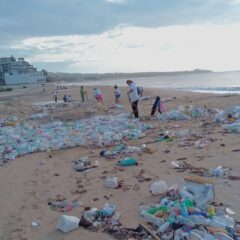 CONTINUAN LAS INTENSAS JORNADAS DE LIMPIEZA EN PLAYAS DEL MUNICIPIO DE LOS CABOS