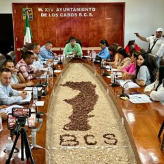 El proyecto de la nueva planta desaladora para CSL, no está en riesgo: Alcalde PROFE LEGGS