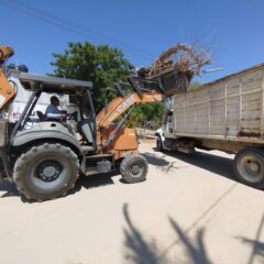 CONTINÚA LA DIRECCIÓN DE ASEO Y LIMPIA MUNICIPAL CON LABORES SE EMBELLECIMIENTO EN LOS CABOS