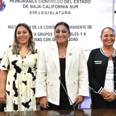 Fueron instaladas las comisiones de Transparencia, Pesca, Personas con Discapacidad, DDHH y Educación 