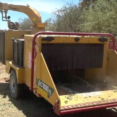 Establecen en el Eco Parque nueva dinámica para generar mulch