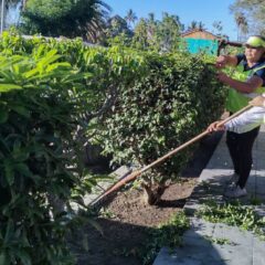 Servicios Públicos realiza mantenimiento en el parque “Los Pinos” de Todos Santos