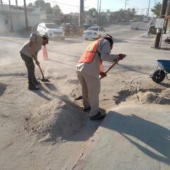 Sigue la limpieza de camellones y avenidas de San José del Cabo