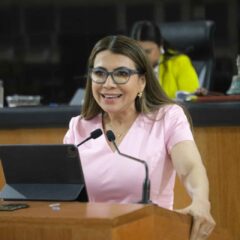 Que no reduzca el presupuesto a instituciones de salud: diputadaLupita Saldaña