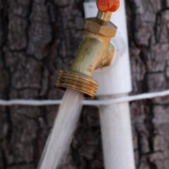 Suministra OOMSAPAS agua potable a 101colonias de La Paz el 30 de octubre