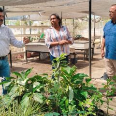 Ayuntamiento de La Paz impulsa proyectos sustentables en El Centenario