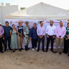 Arranca campaña contra el dengue en Los Cabos; brigadas visitarán casa por casa