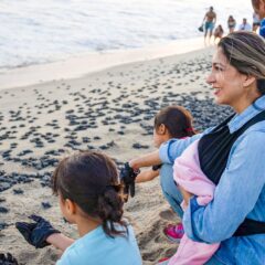 Presidenta Honoraria de Sistema DIF Los Cabosencabeza liberación de tortugas marinas