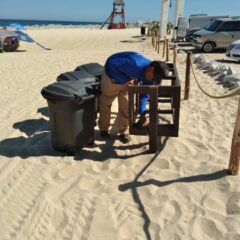 Refuerza Zofemat acciones de limpieza para la conservación de playas de Los Cabos