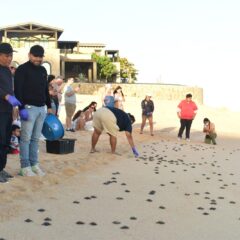 Continúanacciones para preservación del medio ambiente en Los Cabos