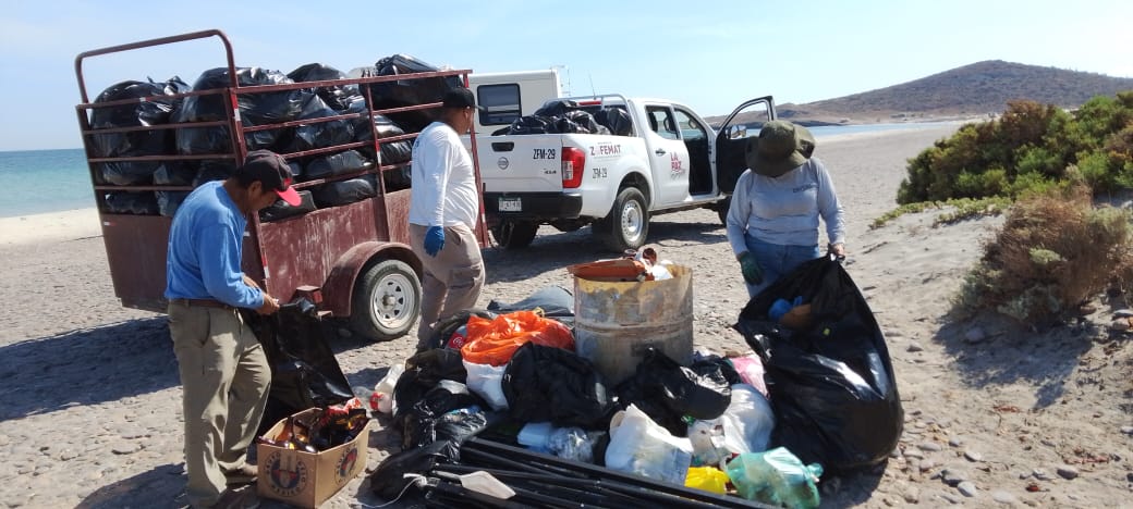 Recolecta Zofemat más de 7 toneladas de residuos en playas de La Paz ...
